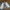 Vans Era Low Classic White photo 3