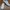 Vans Era Low Classic White photo 4