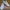 Vans Oldskool Low Classic White photo 4