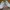 Vans Oldskool Low Classic White photo 3