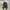 Black Gagne Hoodie