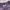 Carhartt Spell Out Longsleeve Purple photo 3