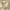 Streetwear Luxury Casual shirt Pria yellow photo 5