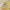 Streetwear Luxury Casual shirt Pria yellow photo 3