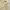 Streetwear Luxury Casual shirt Pria yellow photo 4
