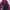 RANSCOO SNOWBOARD JACKET  photo 6