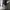 Lp = 70-88cm P = 87cm photo 6