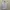 Undercover Streetwear Avant Garde Sweatshirt Pria white photo 6