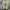 Converse Chuck Taylor 70s x Dera Of God Essential String photo 5
