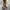 Converse Chuck Taylor 70s x Dera Of God Essential String photo 4