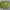 Casual Crop top Wanita green photo 2