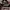 Hush Puppies Casual Shoulder bag Wanita burgundy photo 6