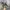 Vans Sk8 Low Cordura Pewter Gray/Check Original photo 1