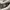Asics Magic Speed 4 White Grey photo 6