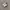 Asics Magic Speed 4 White Grey photo 1