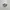 Nike Air jordan photo 1