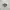 Nike Air Jordan low photo 1