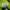 Puma speedcat green photo 6