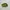 Puma speedcat green photo 3