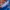 Celpen Utility NBA KNICKS photo 3