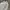DSQUARED2 Luxury Minimalist Formal shirt Pria white photo 3