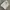 DSQUARED2 Luxury Minimalist Formal shirt Pria white photo 5
