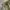 Mile Short Cargo / Cargo pendek mile photo 2