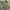 Mile Short Cargo / Cargo pendek mile photo 3