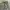 Mile Short Cargo / Cargo pendek mile photo 1
