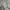 Maypole Short Cargo Pants / Celana Cargo pendek photo 5