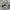 Maypole Short Cargo Pants / Celana Cargo pendek photo 4