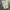 American Eagle Short Cargo / Celana Cargo Pendek photo 3