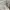 American Eagle Short Cargo / Celana Cargo Pendek photo 4