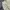 American Eagle Short Cargo / Celana Cargo Pendek photo 5