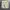 American Eagle Short Cargo / Celana Cargo Pendek photo 2