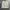 American Eagle Short Cargo / Celana Cargo Pendek photo 1