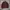 Knitwear Full Cable Maroon by Uniqlo photo 3