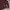 Knitwear Full Cable Maroon by Uniqlo photo 6
