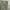 G Star Short Cargo / Cargo Pendek G Star photo 3