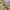 Short Cargo Mark Gonzales / Celana Pendek Cargo photo 4