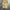Short Cargo Mark Gonzales / Celana Pendek Cargo photo 2