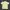 Casual Polo shirt Pria yellow photo 5