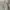 Columbia Short Cargo Pants / Celana Cargo Pendek photo 5