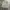 Columbia Short Cargo Pants / Celana Cargo Pendek photo 1