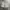 Zunichic Short Cargo Pants / Short Cargo Pants photo 1