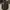 Military Army Jacket Mandatory Uniform Dragon Full Bordir photo 1