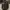 Military Army Jacket Mandatory Uniform Dragon Full Bordir