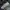 Military Army Jacket Mandatory Uniform Dragon Full Bordir photo 8