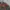 Military Army Jacket Mandatory Uniform Dragon Full Bordir photo 7