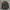Military Army Jacket Mandatory Uniform Dragon Full Bordir photo 3